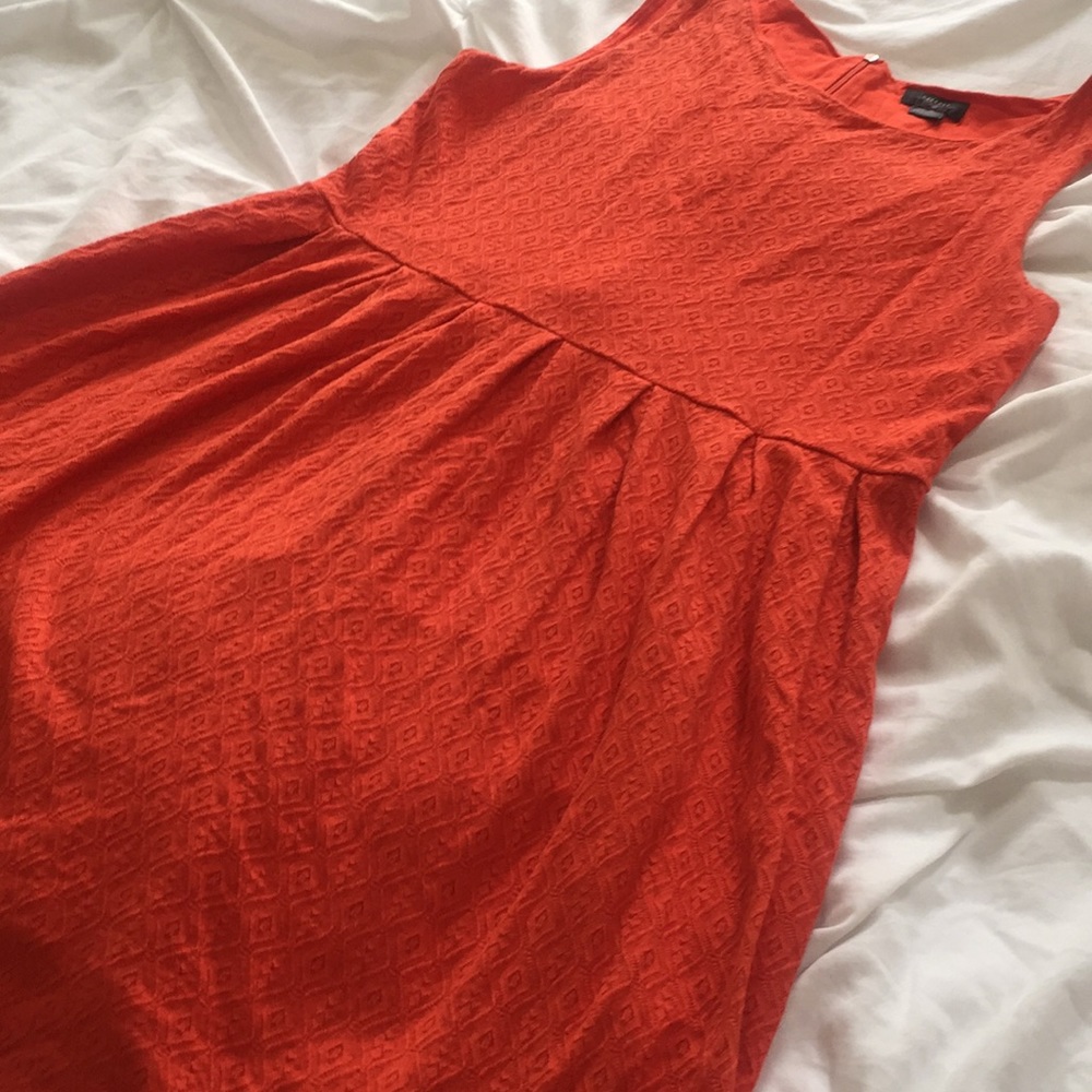 Anthropologie knit dress